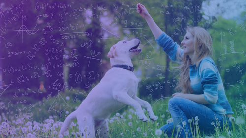 Science-Based Dog Training – with Feeling! (3 Days)