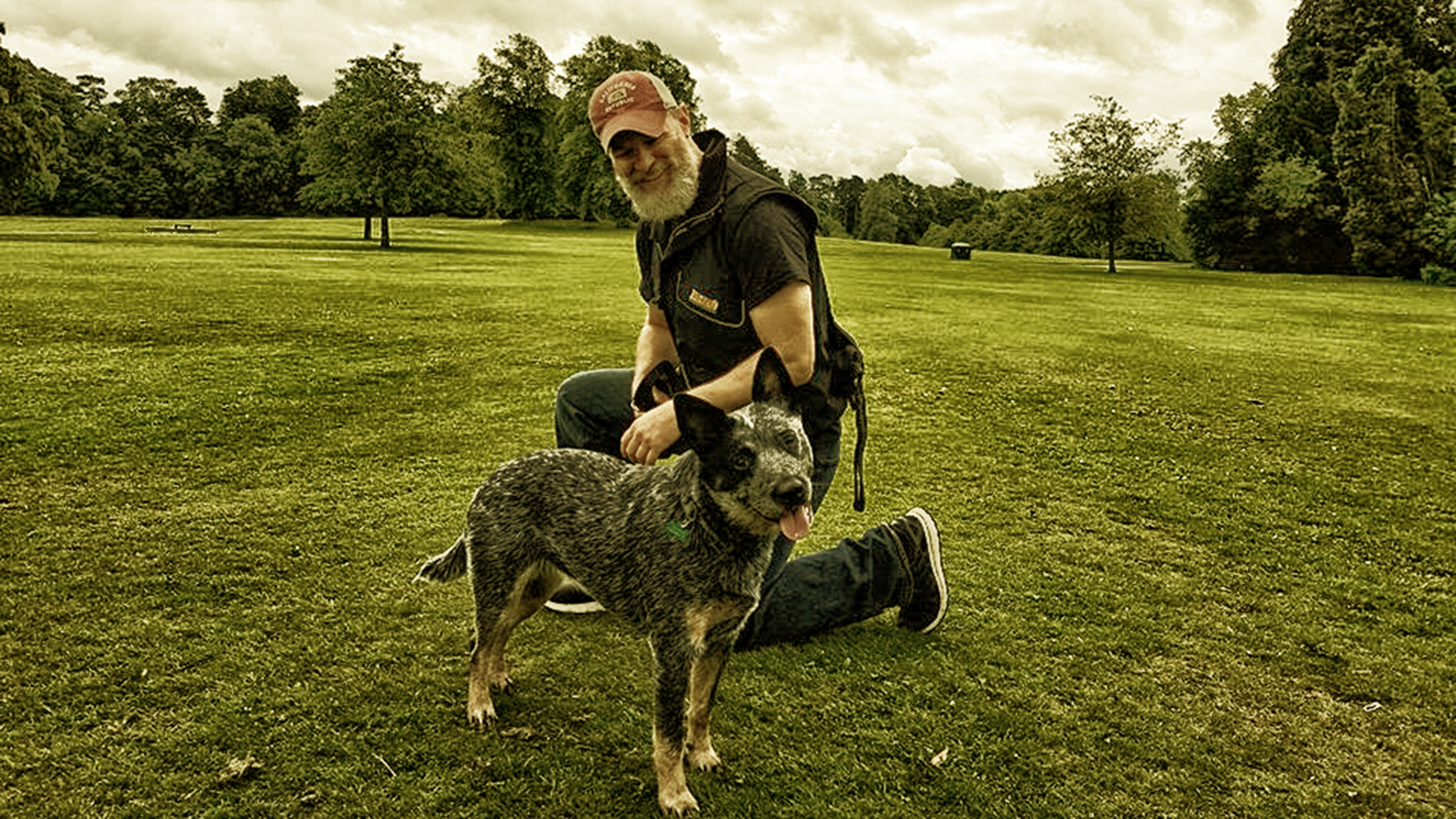 Glasgow Dog Trainer Your Dog Training