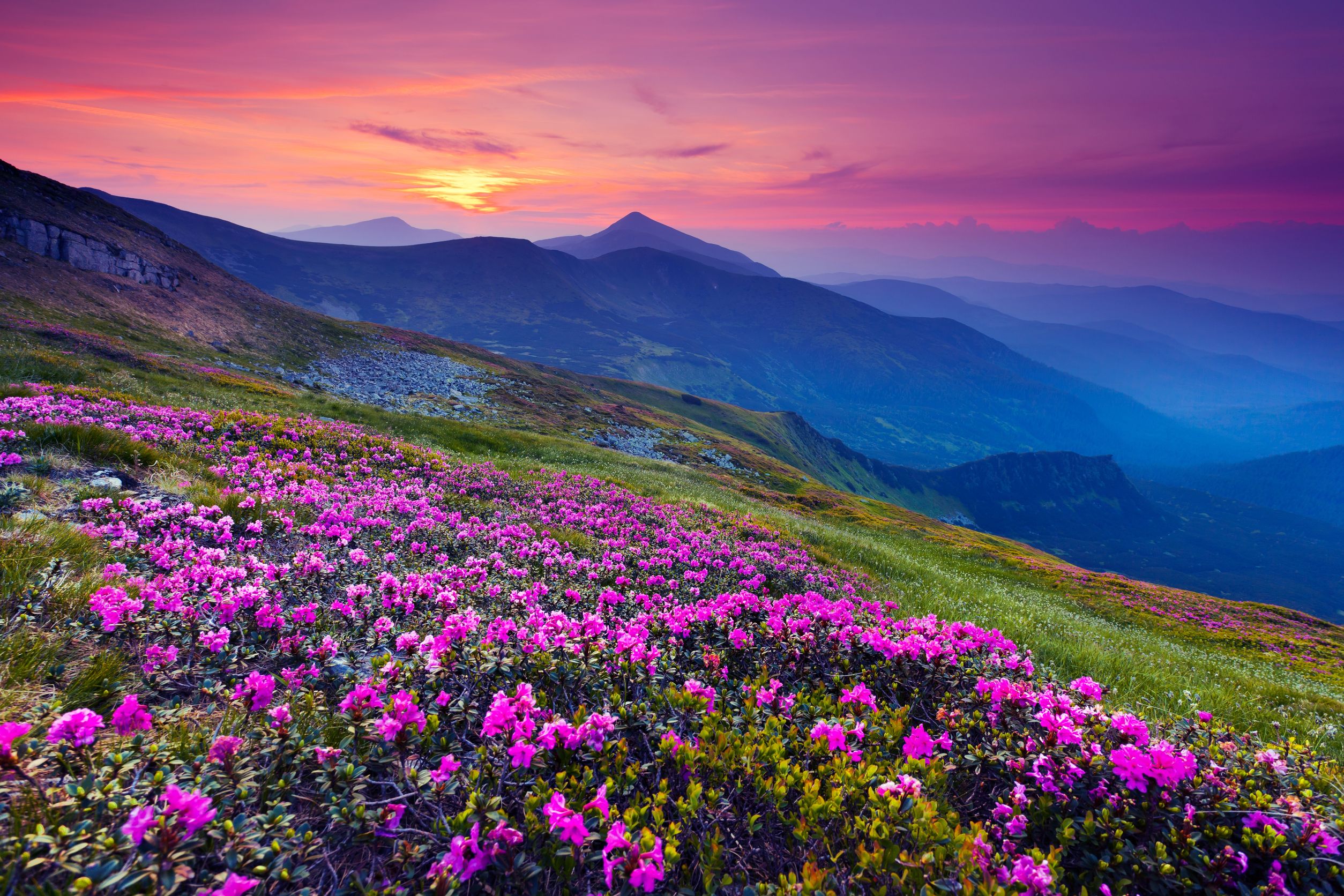 Certified Mindfulness Teacher Online Certification Course certified-mindfulness-teacher-online-certification-course