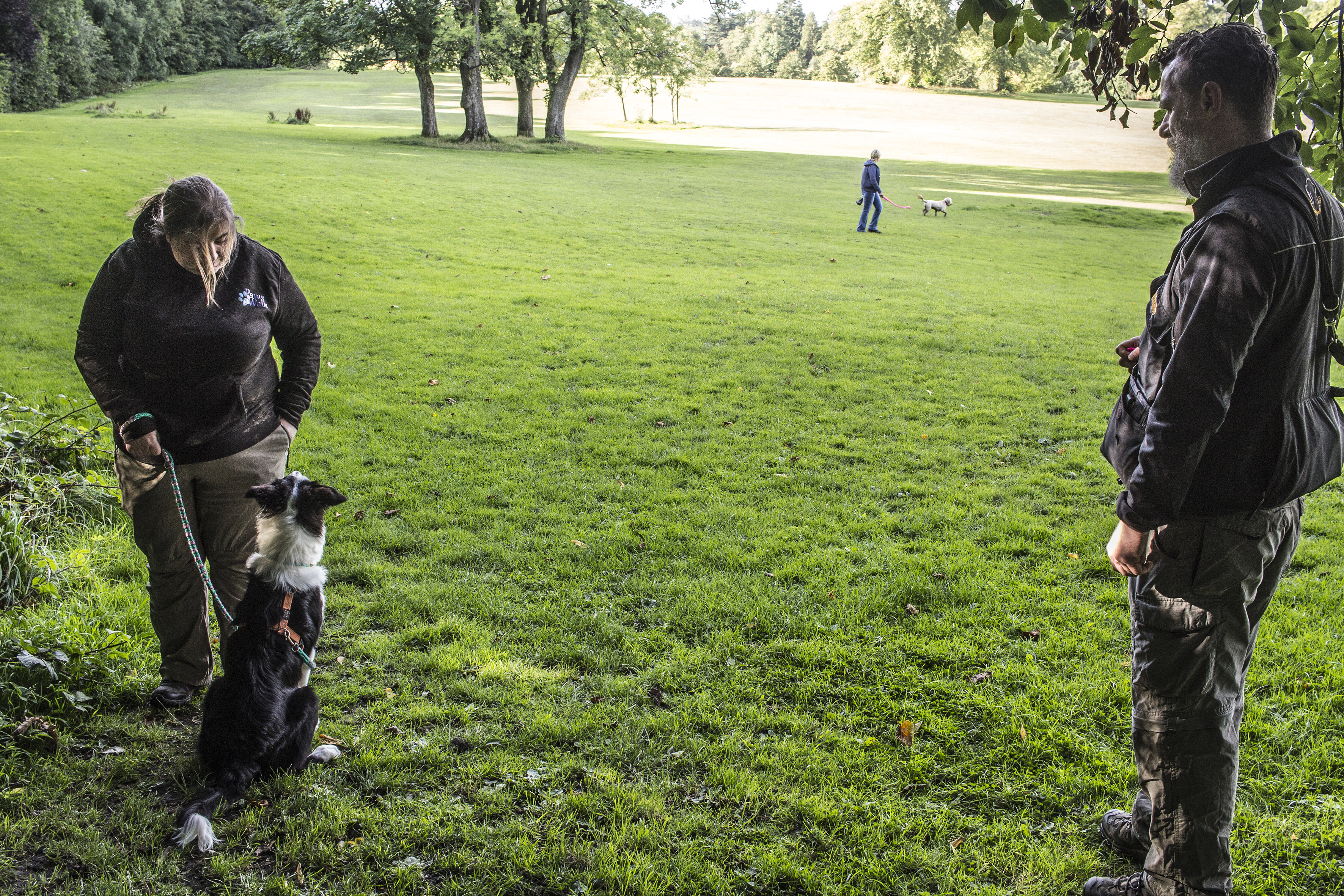 Glasgow Dog Trainer Your Dog Training