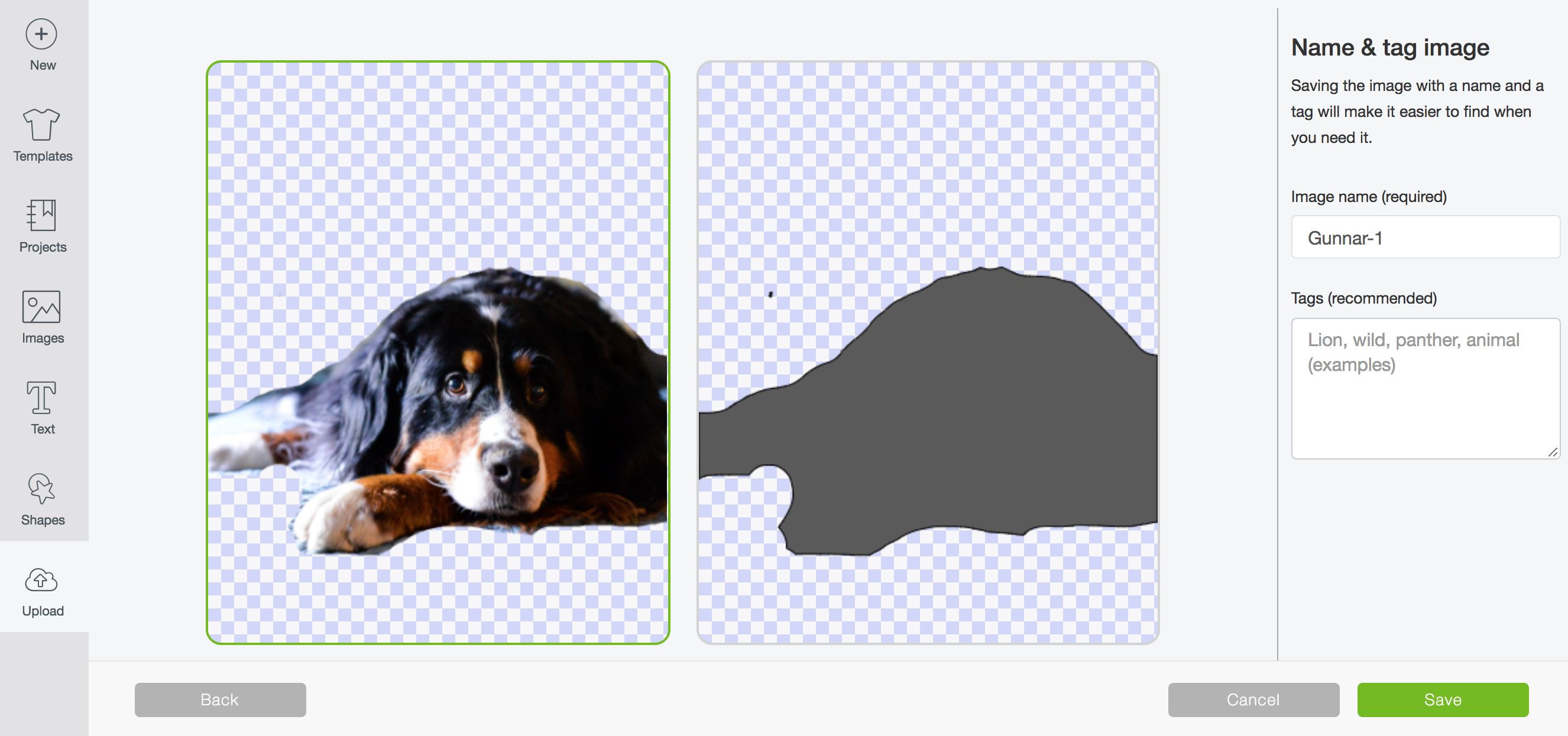 Image of an uploaded photo in Cricut Design Space of a dog