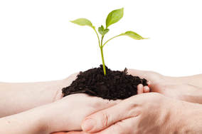 How PCOS & hormonal imbalance causes infertility- image
