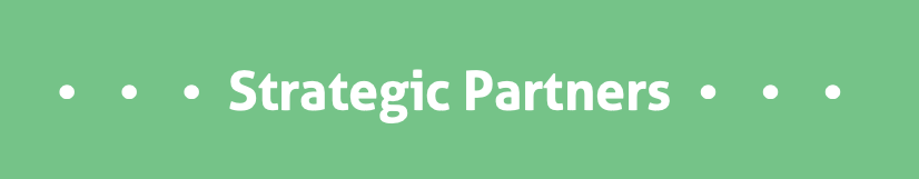 heading Strategic Partners