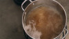 Boil with hops