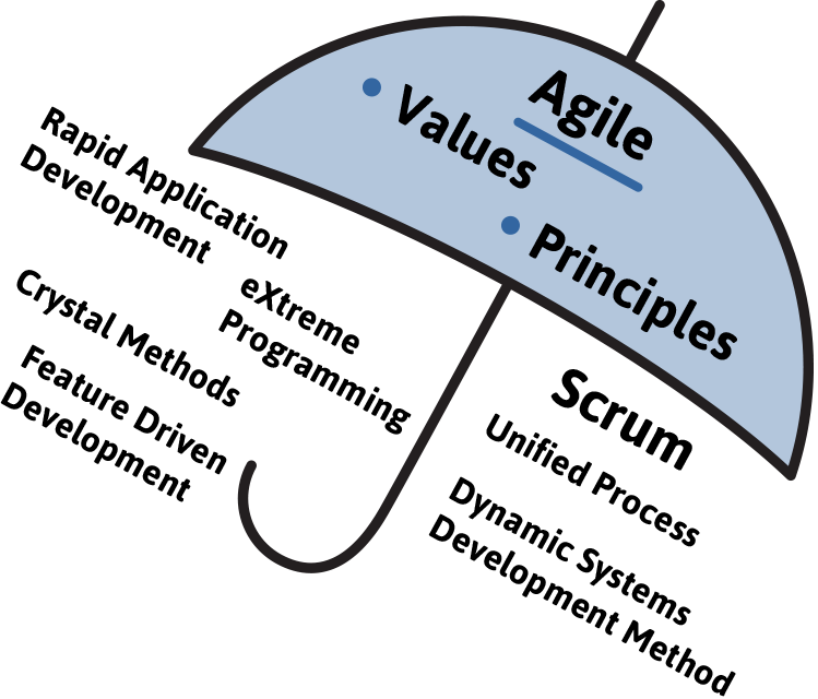 The Agile