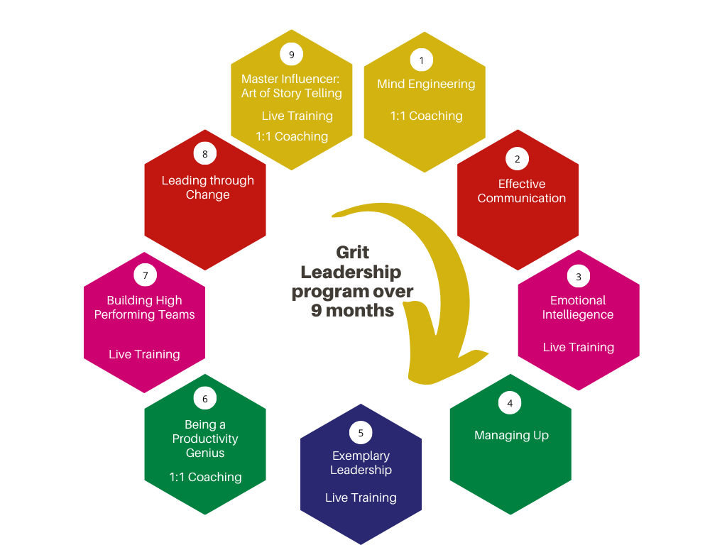 Organisation Leadership Program