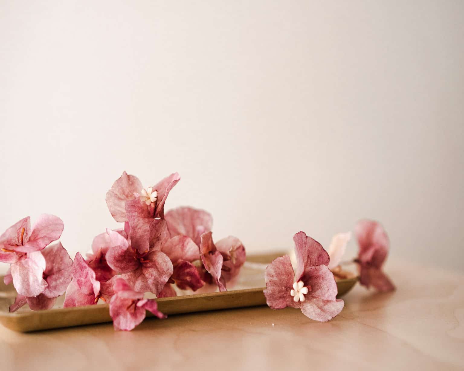 Wafer Paper Flowers How to Make and Store Them