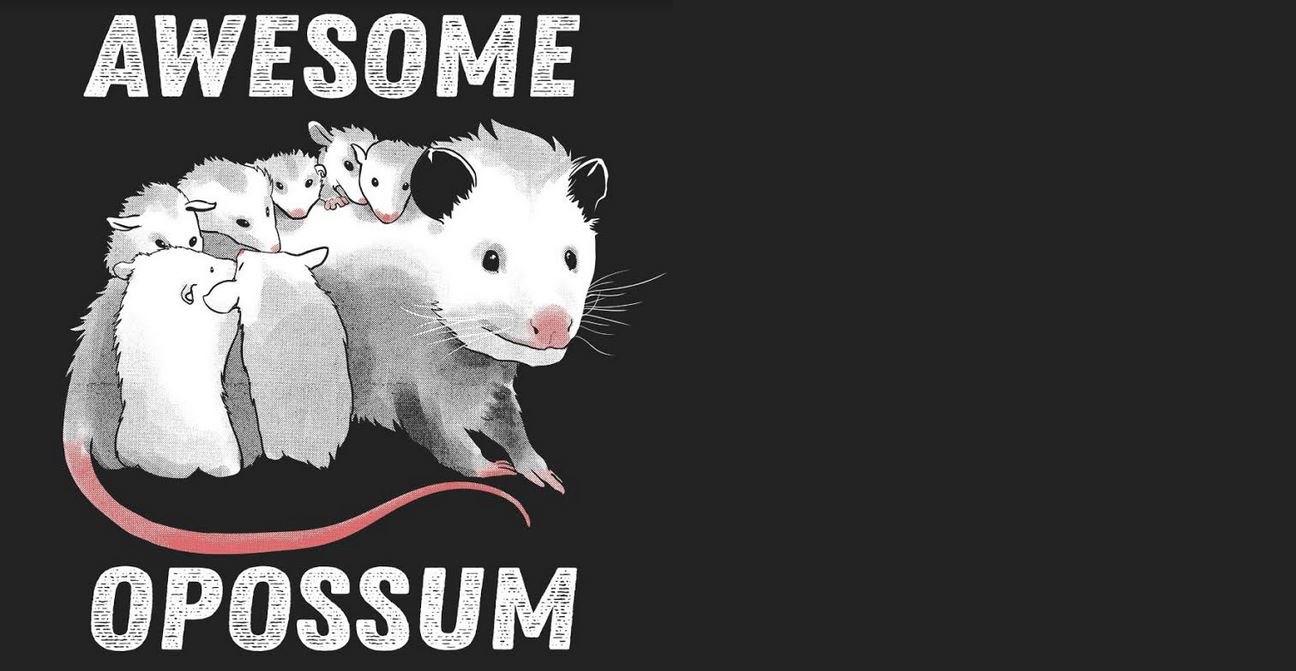 awesome opossum