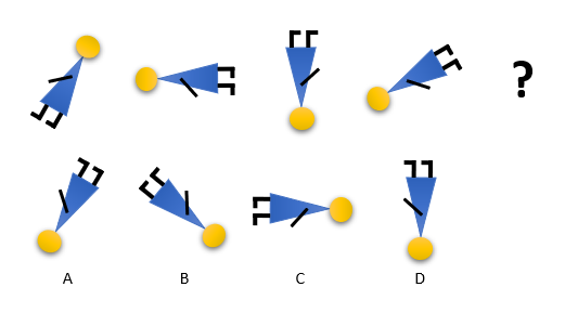 Singapore IQ Math Challenge