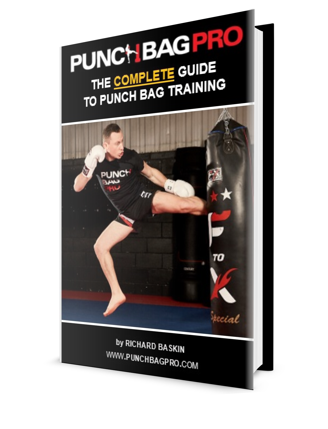 The COMPLETE Guide To Punch Bag Training Ebook