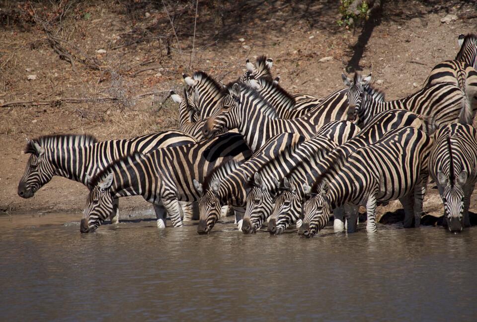 Lubbesrust Safari Lodge