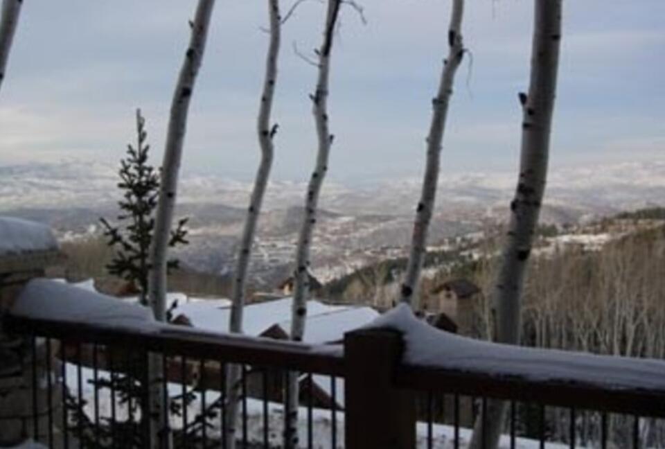 Larkspur at Deer Valley