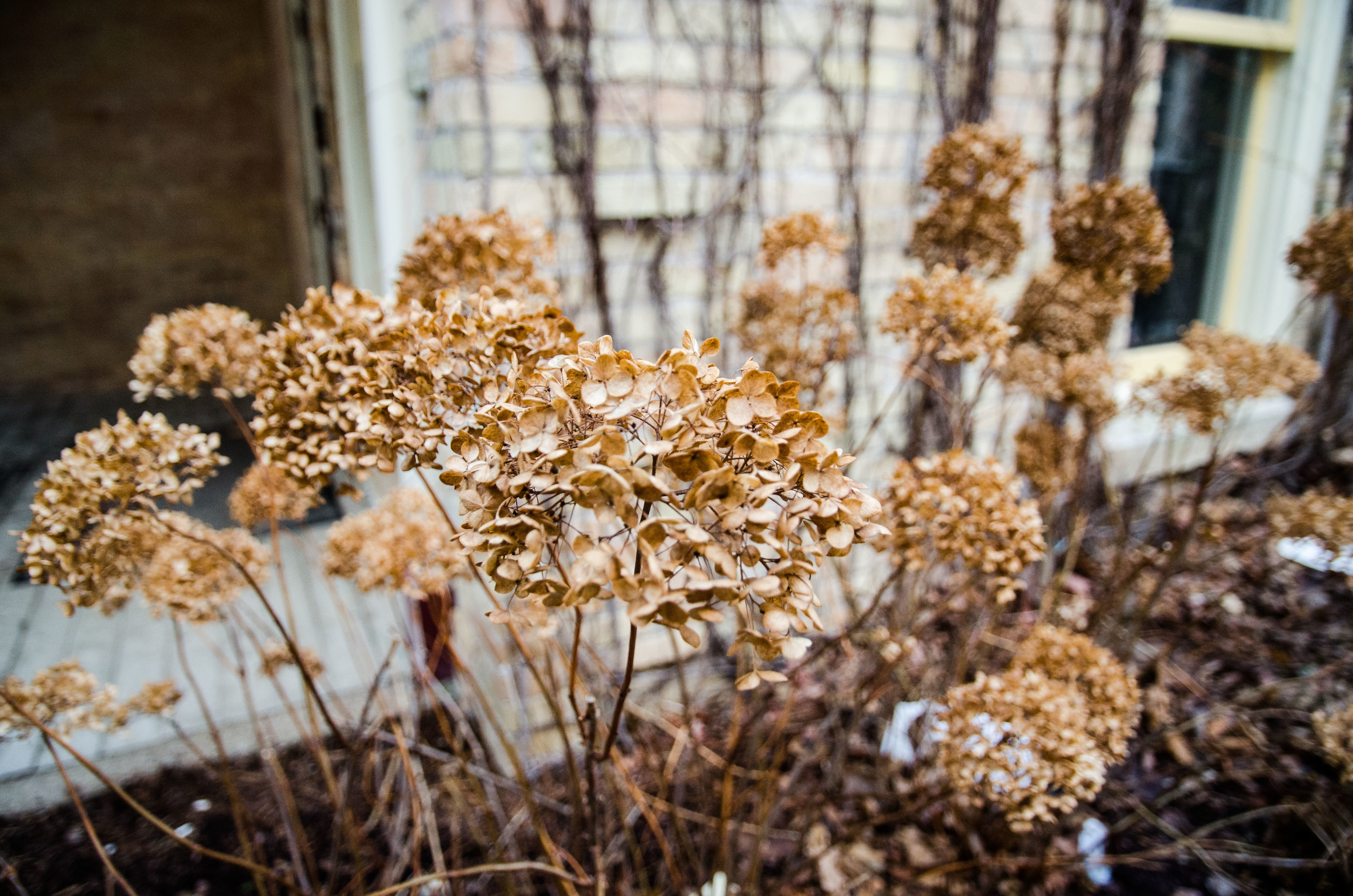 A Harvest Promise Today Daily Devotional