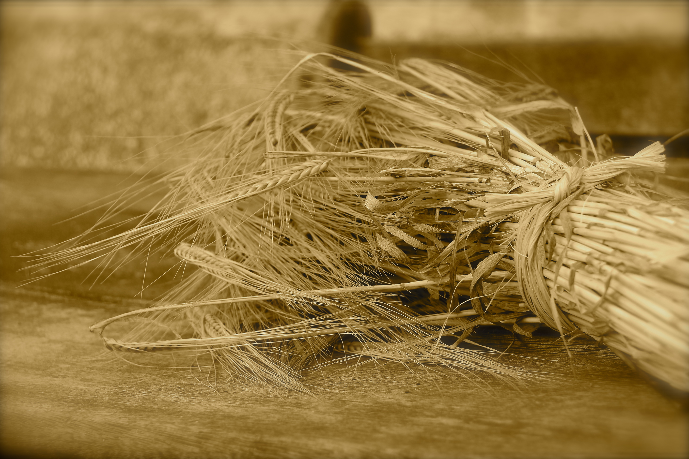 Leftover Sheaves Today Daily Devotional