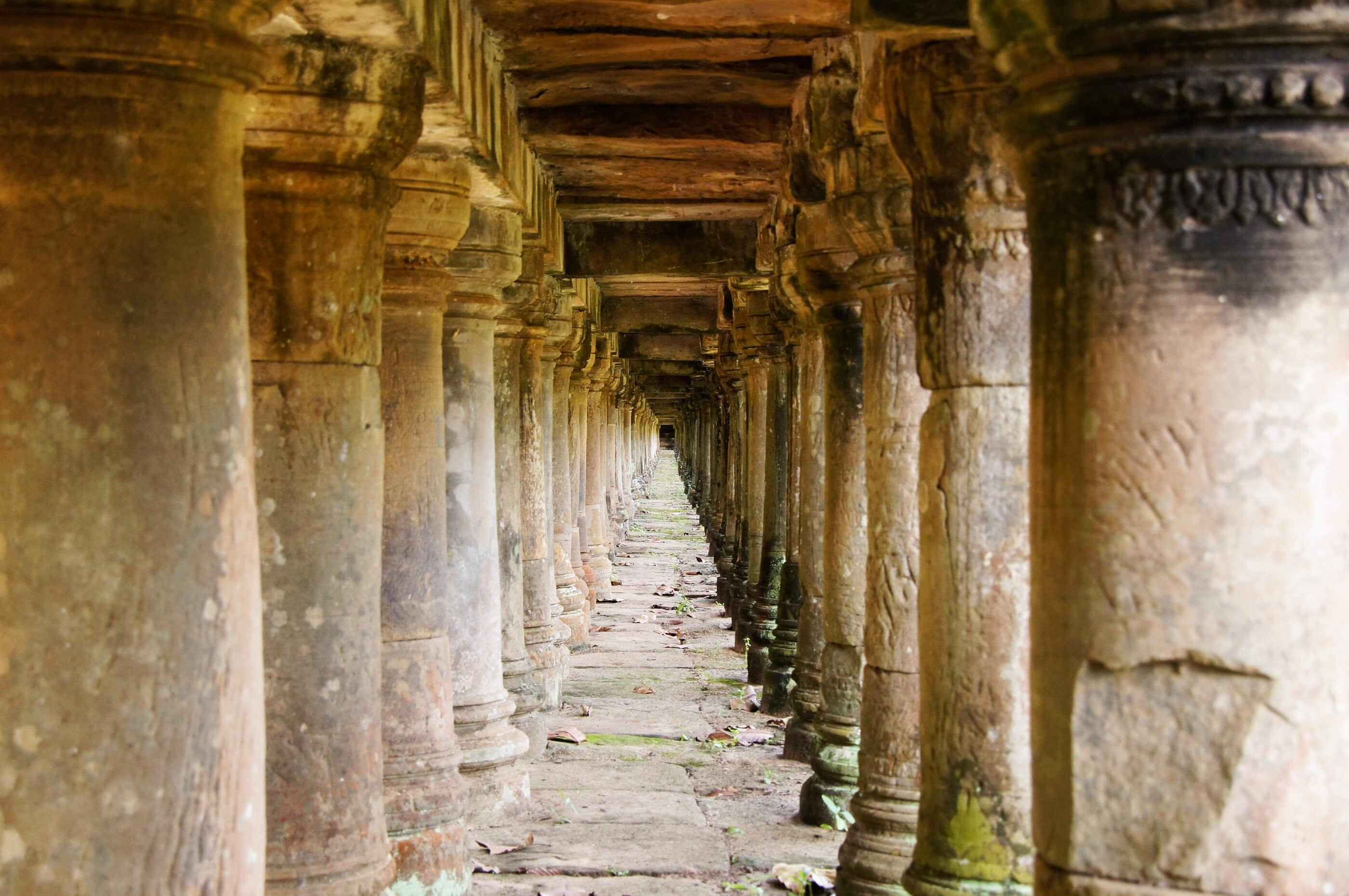 The Curtain of the Temple - Today Daily Devotional