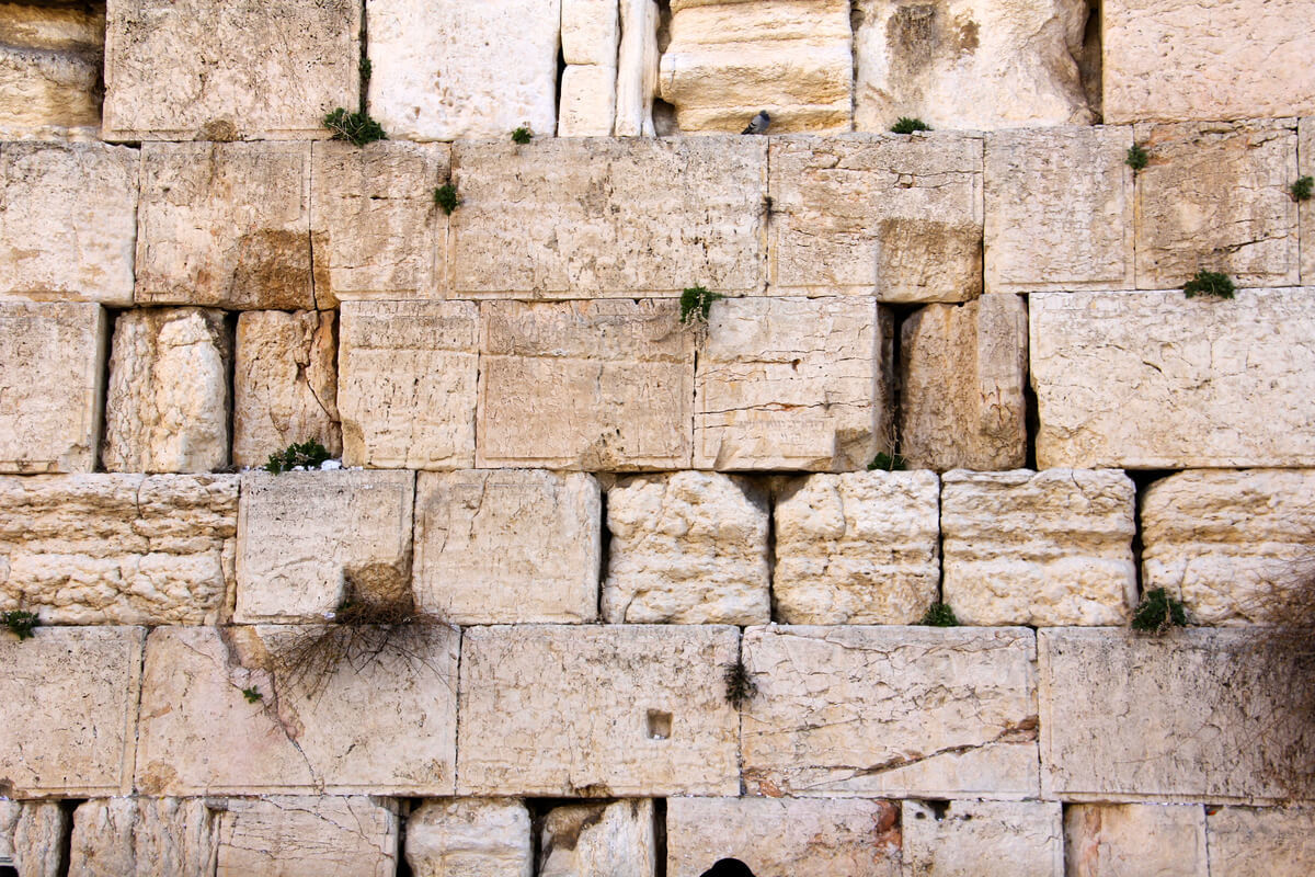 Can You Scale a Wall? Today Daily Devotional