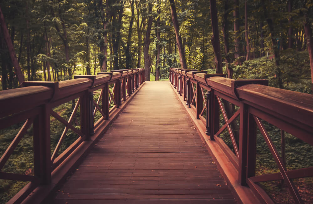 Barnabas God s Bridge Builder Today Daily Devotional