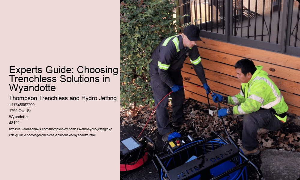 Experts Guide: Choosing Trenchless Solutions in Wyandotte