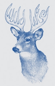 Wildlife: Antlers