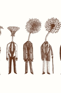 The Seven Ages Of Mandelion