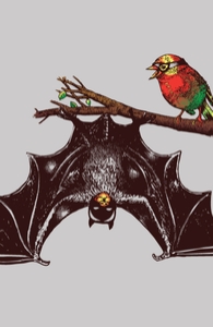 Bat & Rob
