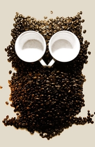 Hoot! Night Owl!