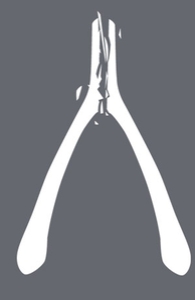 Wishbone