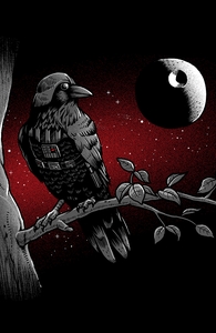 Dark Raven