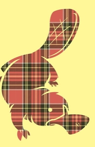 Plaid-apus