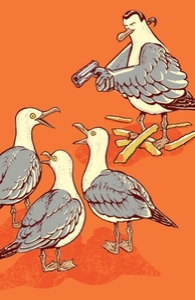 Steven Seagull
