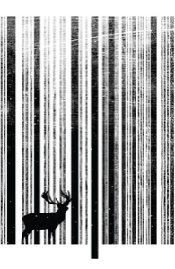 To Scan a Forest