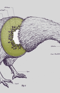 Kiwi Anatomy, Humor + Threadless Collection
