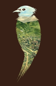 ...To The Birds