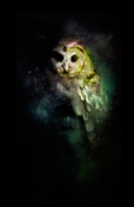 Owl Nebula