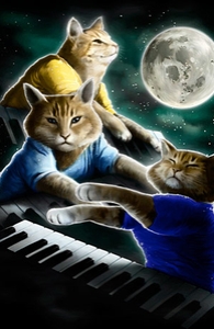 Three Keyboard Cat Moon: iPhone 4 Case