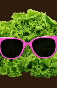 Mr. Salad