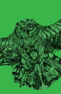 Frankenstein's Owl