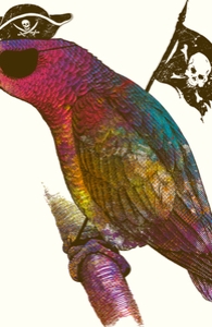 Parrot Pirate: DTG