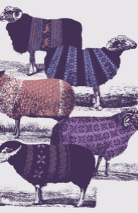 Cool Sweaters
