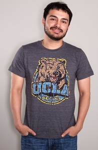 We Are The Mighty Bruins: UCLA College Winner, College Tees + Threadless Collection