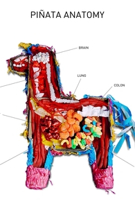 Pinata Anatomy