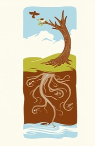 Memento Arbori