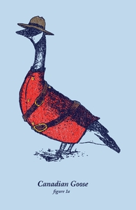 Canadian Goose: Threadless Throw Pillow, Pillows + Threadless Collection