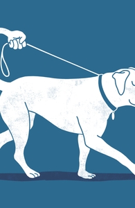 No Worries, I'll Just Walk Myself...: Threadless Pet Bed