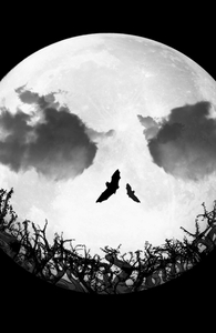 Jack-O-Full Moon