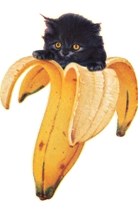 Banana Kitty, Humor + Threadless Collection