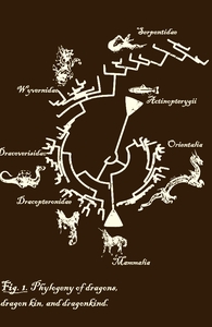 Dragon Phylogeny
