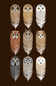 You're a Hoot