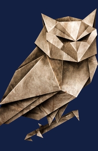 Owligami
