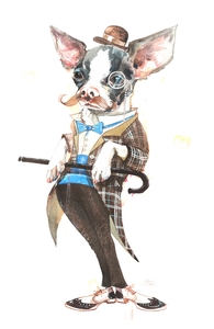 Mr. Chuwawa